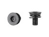 FSA Fastener FSA Bosch Gen3 Crankbolts 2/Set Black